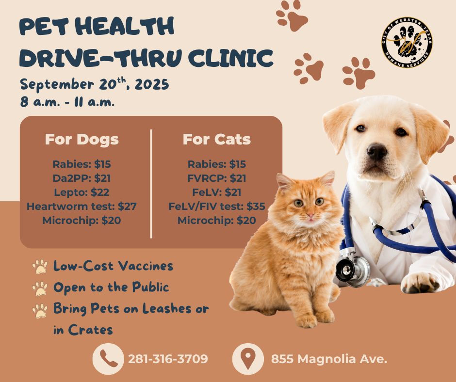 540971074_1088036470172829_6188554215986215710_n